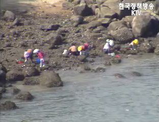 아름다운 항만가꾸기 올해 53개 사업 시행