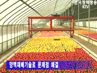 특화작목 명품화 지원