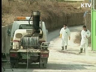 올해 광우병통제국 지위 획득 추진