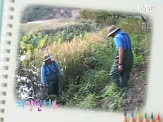 마을의 파수꾼 한강환경지킴이 [릴레이 희망인터뷰]