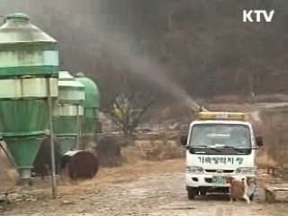 민·관·군 합동 구제역 확산방지 총력