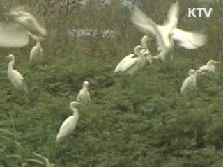 전국 25곳 강변문화공원 조성
