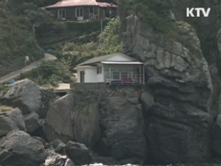 울릉도 '녹색섬' 사업 본격 추진