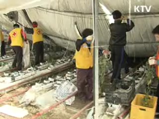 동해안 폭설피해 '긴급복구 추진본부' 운영