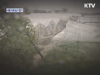 태풍 피해 농가 일손 도와요! [정책, 현장을 가다] 