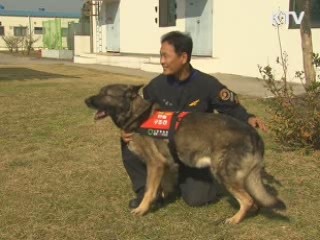 우수 인명구조견 '백두' 복제 성공