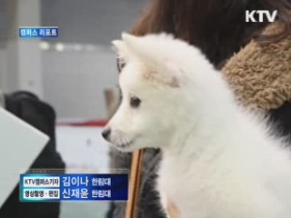 1천만 애견인의 축제' 국제애완동물박람회 [캠퍼스 리포트]