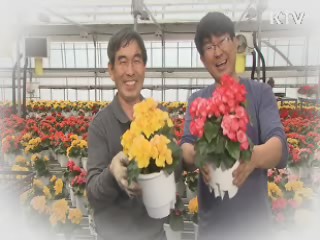 2대째 화훼 농장, 꽃을 든 부자 (경기 남양주)