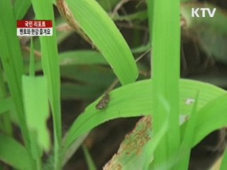 '한강스토리텔링 투어' 아세요 [국민리포트]