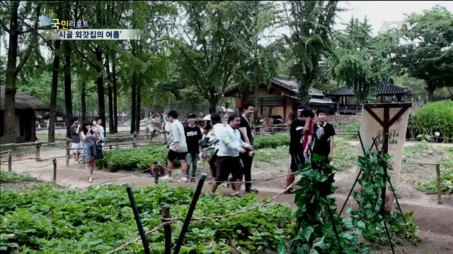 시골 외갓집에서 여름 추억쌓기