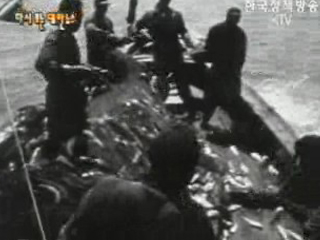 남해안 풍어 - 흑산도 조개잡이(`66)