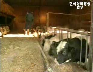 한-미 FTA, 내년 6월까지 끝낸다