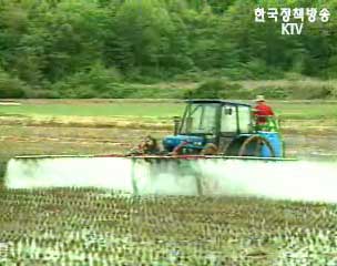 참여정부 농정 3년평가 과제