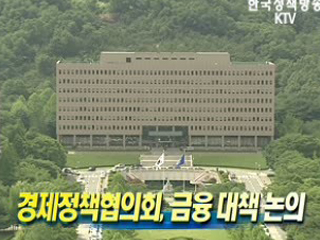 경제정책협의회, 금융 대책 논의