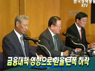 금융대책 영향으로 환율 큰폭 하락