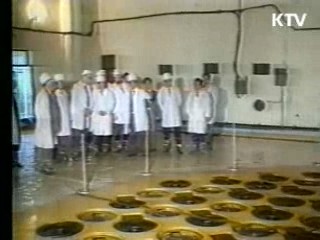 "북핵 위협, NPT체제 강화로 대처"