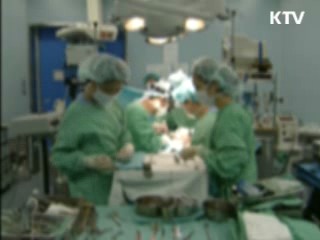 불법 인공임신중절 예방 본격화