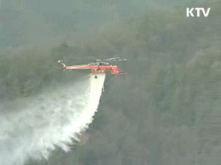 산림청, 오는 15일까지 해송림 항공방제