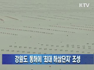 강원도, 동해에 '최대 해삼단지' 조성