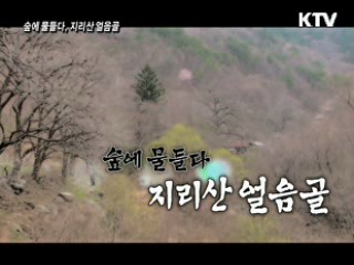 숲에 물들다, 지리산 얼음골 