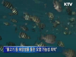 "방사성 물질, 해수 직접 유입 가능성 적어"