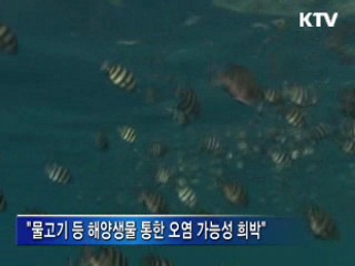 "방사성 물질, 해수 직접 유입 가능성 적어"