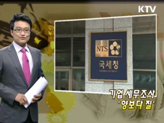 기업 세무조사 '양보다 질'