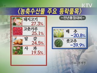 지난달 물가 4.2% 상승···신선식품 '주춤'
