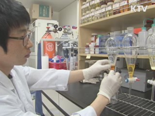 바이오디젤시대 열린다