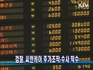 검찰, 씨앤케이 주가조작 수사 착수