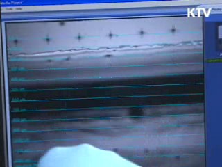 편입학 축소···지방대 채용 지원 강화