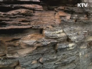 2020년 LNG 도입량 20% '셰일가스' 대체