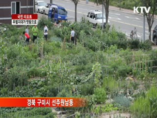 우범지대가 '사랑의 텃밭'으로 [국민리포트]