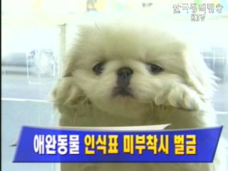 애완동물 `인식표 미부착시 벌금`