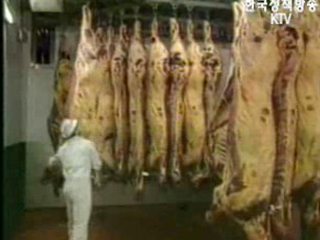 정부, `美 쇠고기 정밀 검사`