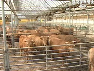 축산현대화 지원 확대