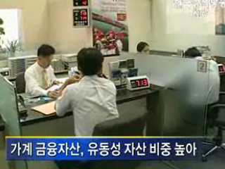 금융위기 외신보도 '오해와 진실'