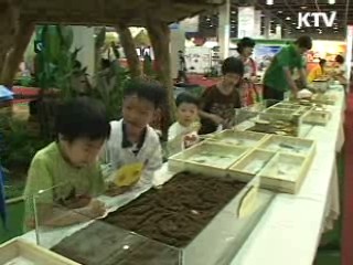 농어촌 페스티벌 [지금 대한민국]