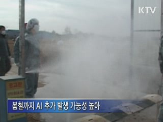 "AI 바이러스 철새가 유입, 사람이 확산"