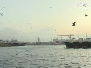 "오염 해역 조업금지수역 지정·운영"