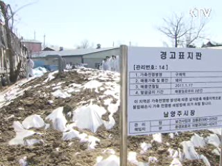 구제역 매몰지, 주말 호우 대비 만전