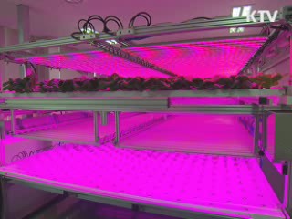 LED 융합기술 개발···세계시장 공략