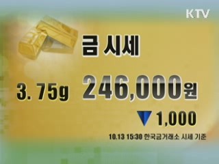 증시정리 환율 금시세