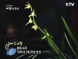 다시보는 대한늬우스 ('85.03.29)