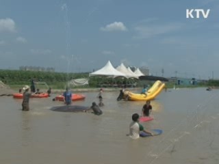 평택 바람새마을 '인기' [캠퍼스 리포트]