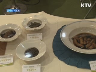 강원도의 맛과 멋 한자리에 [캠퍼스 리포트]