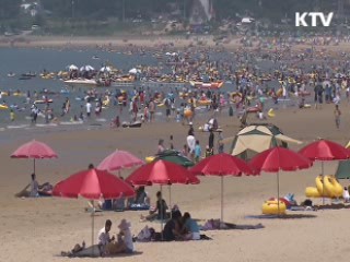 한 권의 책과 함께 떠나는 여행길