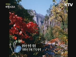다시보는 대한늬우스 (86.10.17)