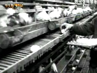 농촌의 개척자(`62)