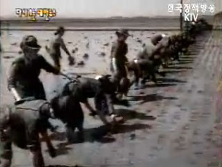 여군 모내기 및 직장예비군 일일입소(`72)